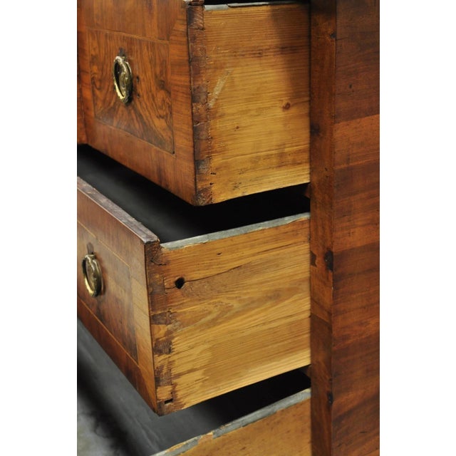 Antique Italian Biedermeier Burr Walnut 3 Drawer Commode Dresser Chest of Drawer For Sale - Image 13 of 18