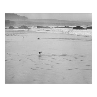 1974 Santa Monica Beach Black and White Photograph For Sale