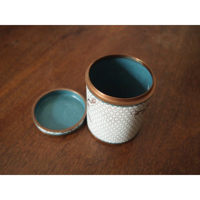 Chinese white cloisonné cylindrical box decorated in copper with pink cherry blossoms on brown tree limbs.