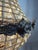 2000 - 2009 Crystal Chandelier from Casa Padrino, 2000s For Sale - Image 5 of 9