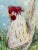 Giclee Print Watercolor Painting of “My Chicken Floppy” For Sale - Image 6 of 10