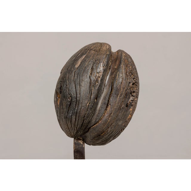 Ancient Rustic Cart Wheel Mounted on Black Lacquer Base For Sale - Image 11 of 12