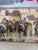 1950s Lee Reynolds Original Mid Century Oil on Canvas Rare Horses/Riders 30x41 For Sale - Image 4 of 6