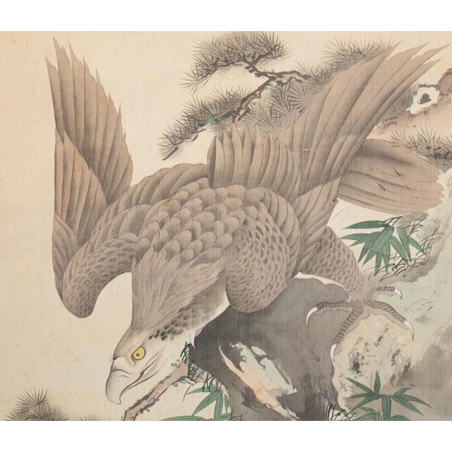 Late 19th Century "Eagle" by Imao Keinen, Meiji to Taisho Era Japanese Silk Scroll Painting For Sale - Image 5 of 18