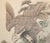 Late 19th Century "Eagle" by Imao Keinen, Meiji to Taisho Era Japanese Silk Scroll Painting For Sale - Image 5 of 18