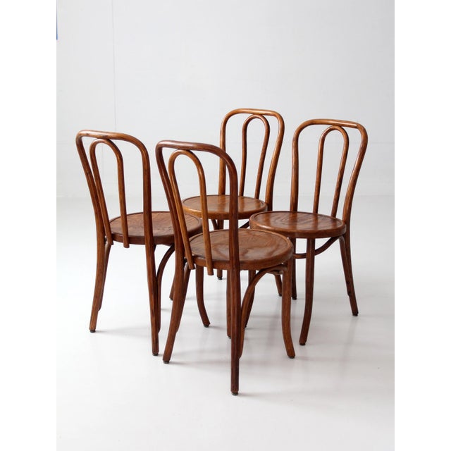 Early 20th Century Set of Four Antique Great Northern Bentwood Dining Chairs For Sale - Image 5 of 15