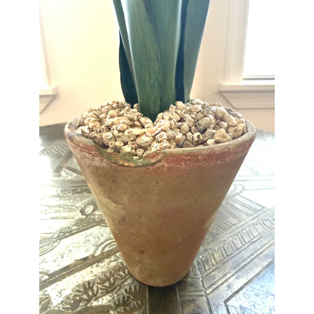 Tommy Mitchell Tole Potted Hyacinth For Sale - Image 11 of 11