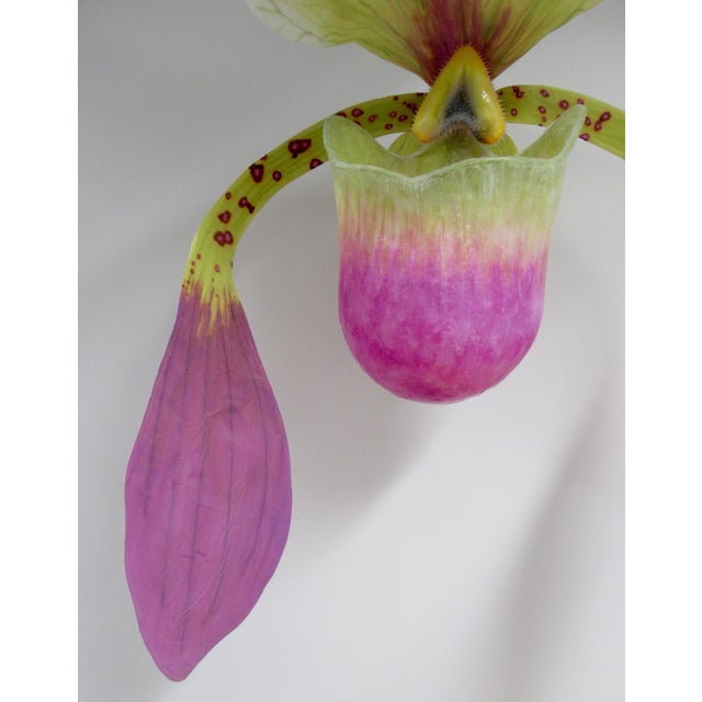 C. 2015 Original Artist Jurgen Reichert "Paphiopedilum Mirabilis" - Silicone Orchid, Light Wall Sculpture For Sale - Image 4 of 18