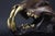Big Cat Skull Sculpture on Black Display Stand, 1990s For Sale - Image 3 of 10