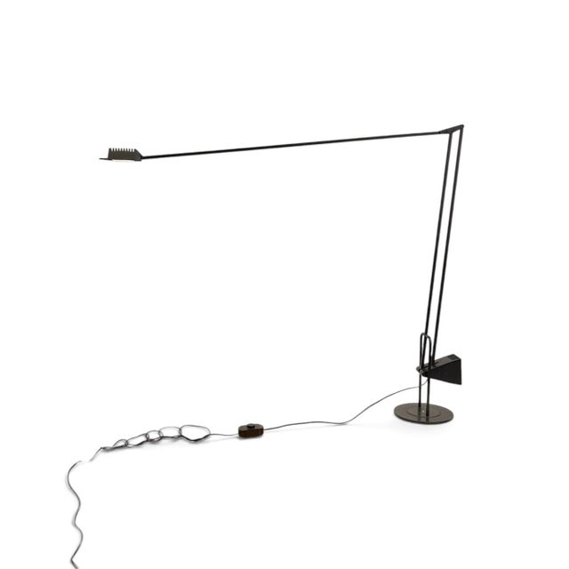 Metal Flamingo Floor Lamp by Fridolin Naef for Luxo, 1980s For Sale - Image 7 of 16