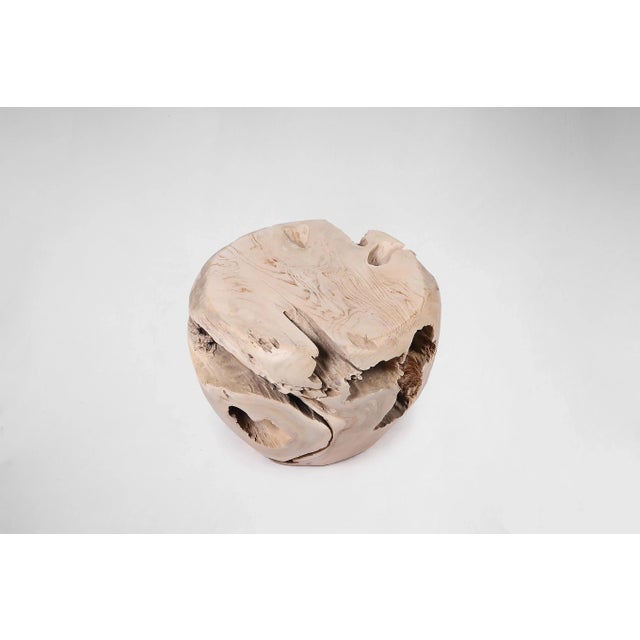 2020s Bleached White Teak Root Accent or Side Table or Stool 28 For Sale - Image 5 of 6