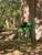 Forest Green Figueroa Bar Stool in Green Velvet from Insidherland For Sale - Image 8 of 11