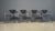 Vintage Chrome Dining Chairs from Effezeta, 1970s, Set of 4 For Sale - Image 9 of 12