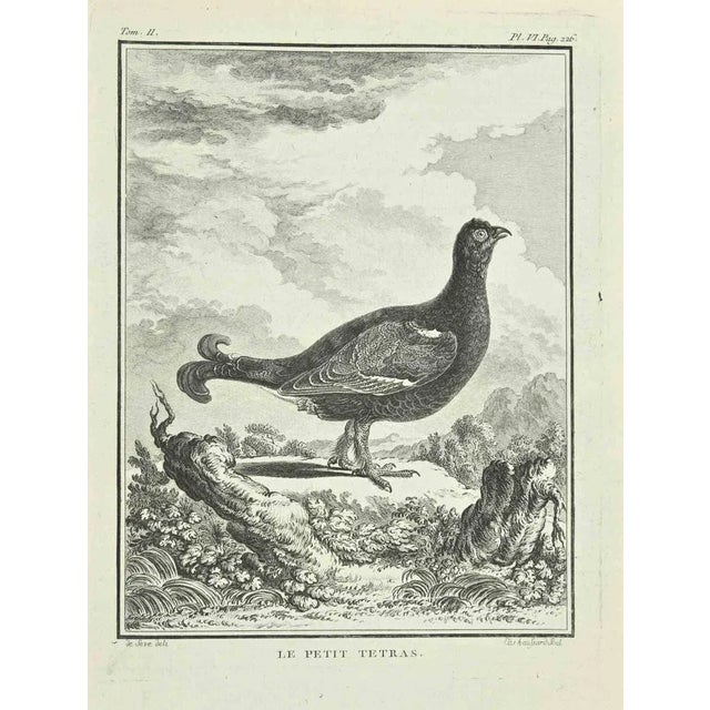 The painting is an etching realized in 1771 by Catherine Haussard. Signed in flat. The Artwork Belongs to the Suite...