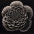 Heliotropium Flower — Vintage Botanical Photography Print For Sale