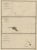 Map of the Laughlan Islands, 1833 For Sale - Image 3 of 5
