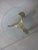 Plastic Mid-Century Hesterberg Style Propeller Side Table For Sale - Image 7 of 10