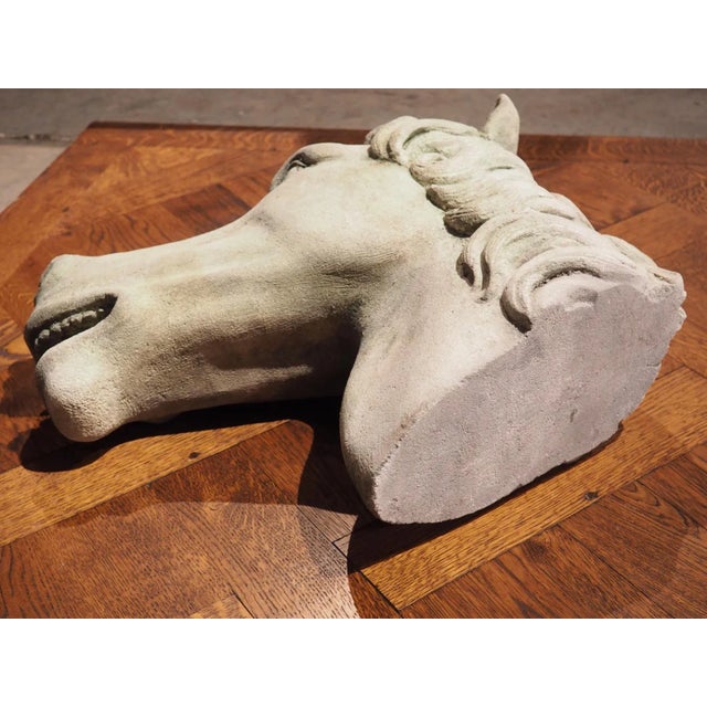 Carved Limestone Horsehead From Italy For Sale In Dallas - Image 6 of 13