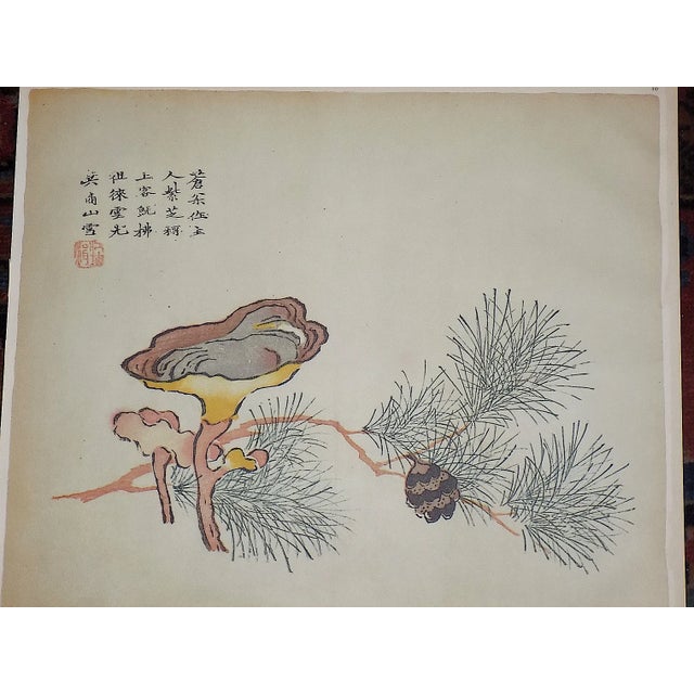 Realism Vintage Signed Chinese Botanical Color Lithographs - Set of 3 For Sale - Image 3 of 9