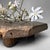 Meji Wabi-Sabi Low Tree Table, Japan, 1890s For Sale - Image 9 of 18