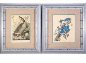 Antique Large Canadian Goose and Blue Jay Engravings - a Pair