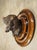 A Signed Antique French Medallion Bronze Bust of the St. Hubert Hound (1851-1925) For Sale In Dallas - Image 6 of 15