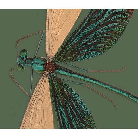 The series was produced by CFA editions from original pochior prints by E.A. Seguy. The series of insects that Seguy...