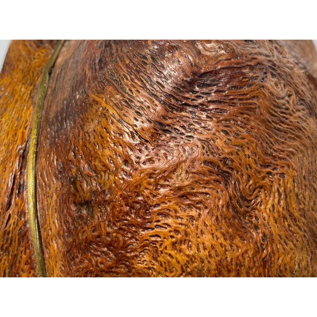 Brown Brown Wood and Brass Tabacco Pot, French, 1970s For Sale - Image 8 of 10