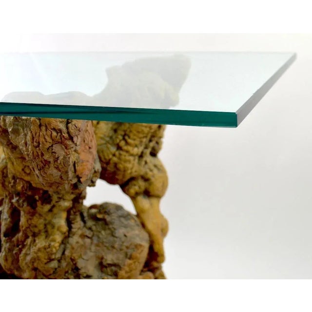Mid-Century Modern Root Burl Glass Top Console Table For Sale - Image 3 of 13