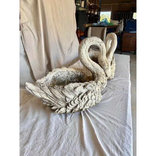 Early 20th Century French Concrete Swan Planters - A Pair For Sale - Image 4 of 12