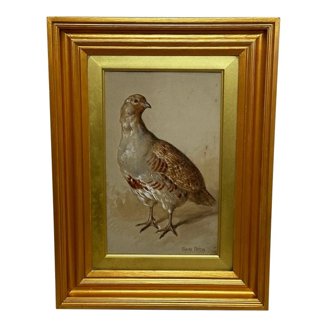 British Victorian Watercolour Painting Partridge Game Bird by Frank Paton For Sale