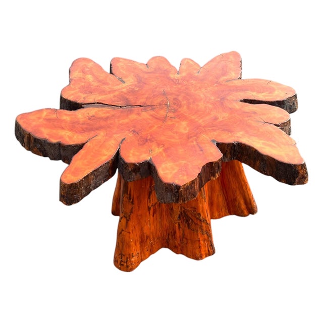 Beautiful Vintage Cypress Live Edge Tree Stump Center Coffee Table For Sale