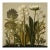Dark Green Antique Botanical Garden Study No. 15 - Natural History Fine Art Print For Sale