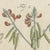 Beige Bertuch, Venus Flytrap Carnivorous Plant, 1805, Print For Sale - Image 8 of 12
