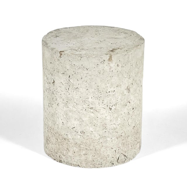 This terrific occasional table of faux fossilized stone is the perfect scale to serve as either a side/end table, a...