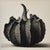 20' X 20' 'Cucurbita' #1 - Black and White Limited Edition Botanical Photograph Print, Unframed For Sale