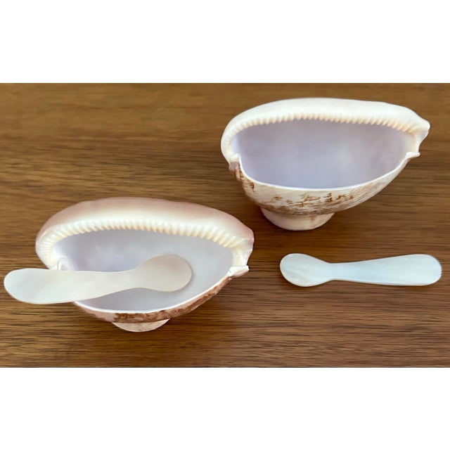 1990s Natural Shell and Mother of Pearl Caviar Dishes- Set of 2 For Sale - Image 11 of 11