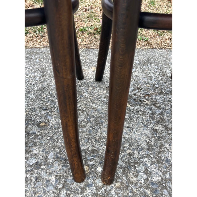 Thonet 1920s Model 255 Thonet Bentwood Chairs "Crocodile" Pattern, Set of 4 For Sale - Image 4 of 13