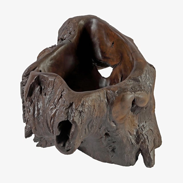 2010s Dark Brown Organic Sculptured Bowl For Sale - Image 5 of 8