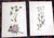 Printmaking Materials Authentic Antique American 19th Century Botanical Chromolithographs - Set of 12 For Sale - Image 7 of 9