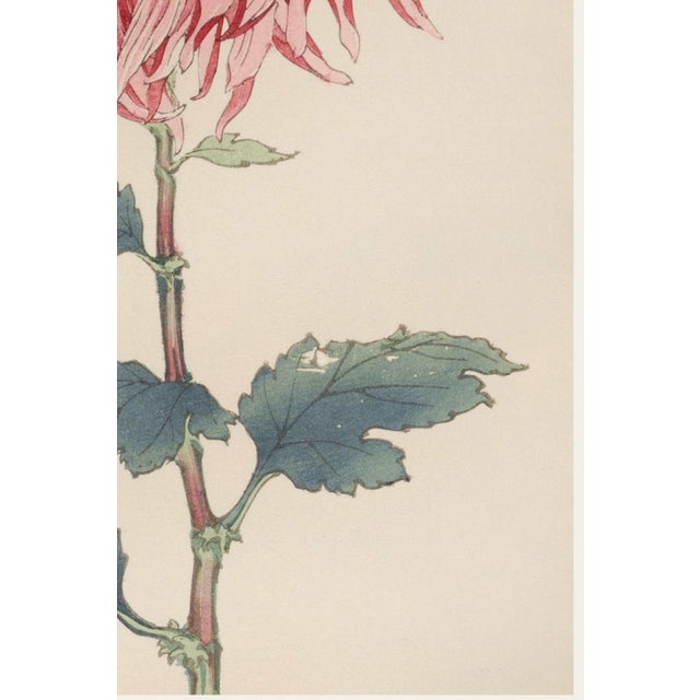 Not Yet Made - Made To Order Pink Mum, Vintage Japanese Botanical Art Print, 24" X 36" For Sale - Image 5 of 11
