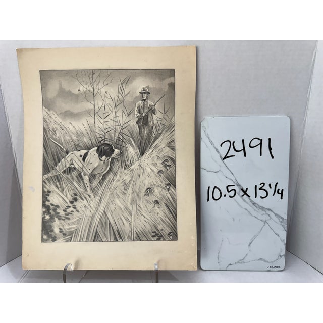 1940s Original Signed Graphite Illustration of Bird Dog, Hunter and Quail in Tall Grass, 13.25 × 10.5 In. For Sale In Atlanta - Image 6 of 6