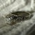 Art Deco Diamond Filigree Engagement Ring in 18k White Gold, Old European Cut 0.25 Ct, C. 1920s, Size 5 For Sale - Image 9 of 12