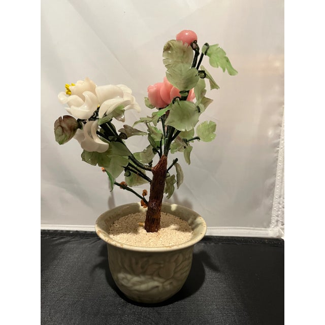 Peony Gem Bonsai Tree For Sale - Image 9 of 11