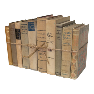 Decorative Books - Vintage Driftwood Book Bundle - 1 Foot of Tan Books