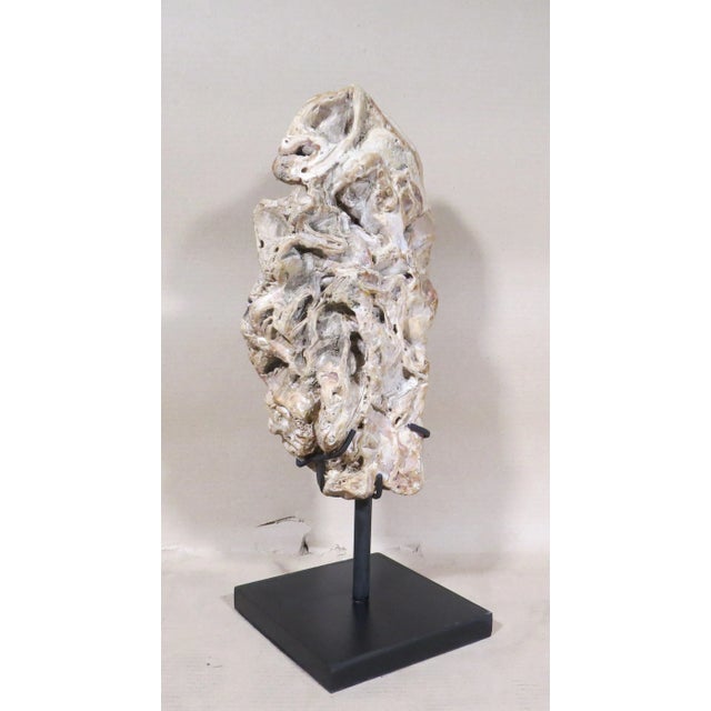 2010s Organic Modern Fossil Scholar Stone For Sale - Image 5 of 8