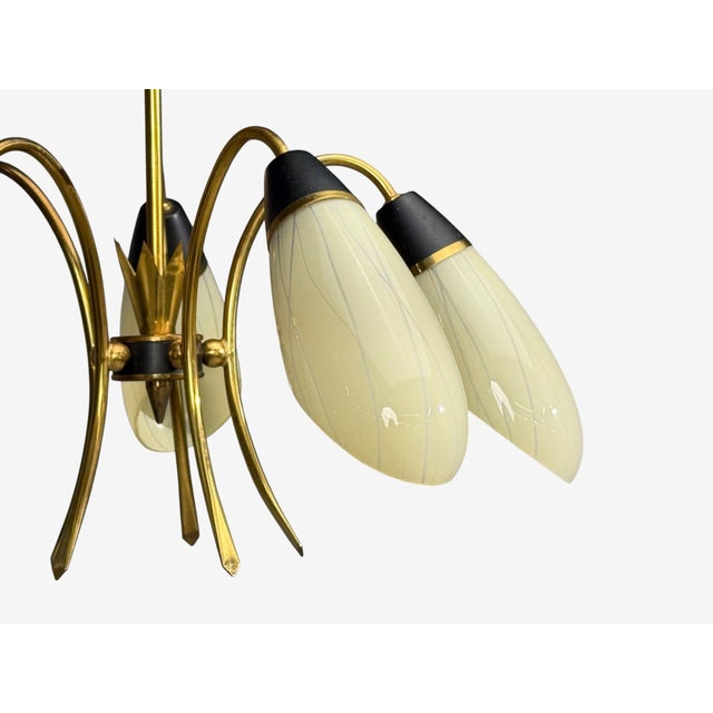 1950s Mid-Century Modern German Modern, Five-Light Chandelier, Brass, Metal, Glass For Sale In New York - Image 6 of 13