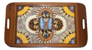 Vintage Brazilian Inlaid Wood Tray with Real Morpho Butterfly Wings