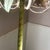 Mid Century Italian Tole Flower and Leaves Chandelier For Sale - Image 15 of 15