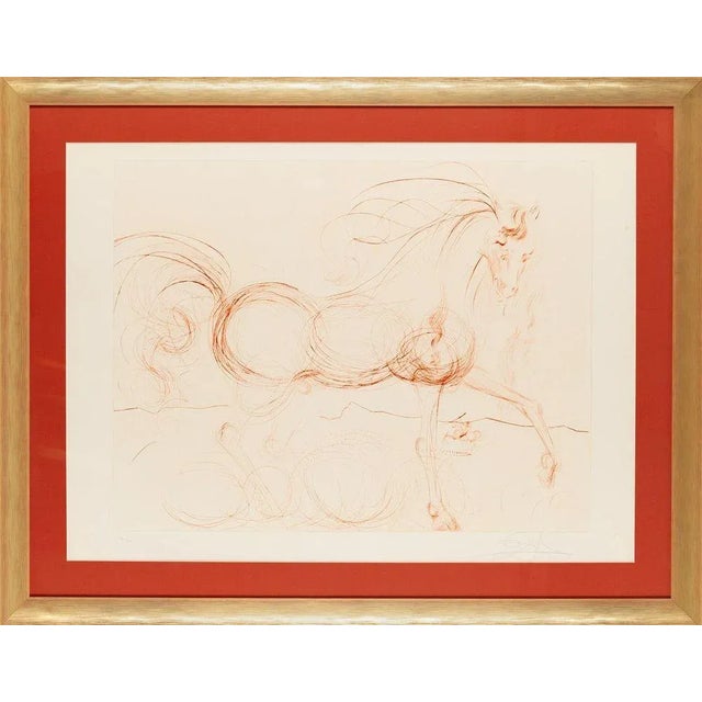 Salvador Dali, L'Etalon Blanc (Hommage au cheval), 1974, Drypoint Etching For Sale - Image 6 of 6